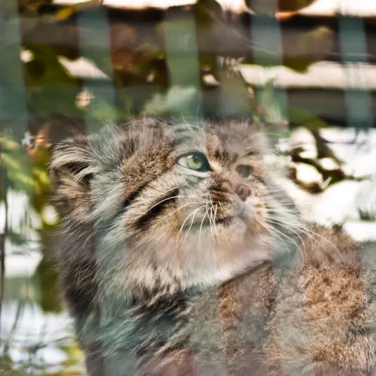A photograph of Jonathan in Magdeburg Zoo