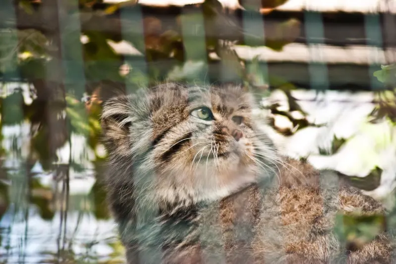 A photograph of Jonathan in Magdeburg Zoo
