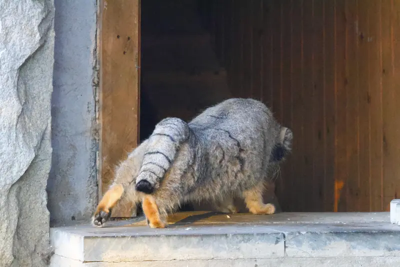 A photograph of Timofey in Moscow zoo