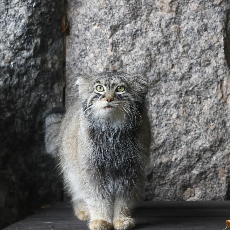 A photograph of Timofey in Moscow zoo