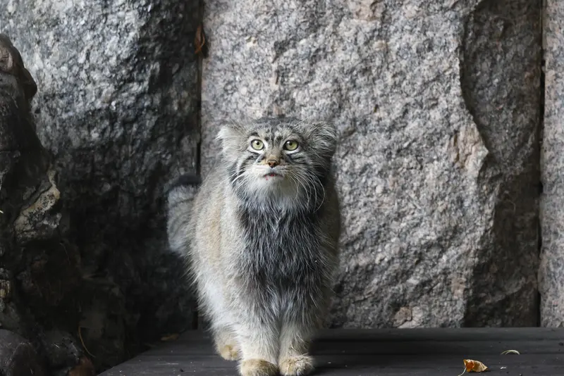 A photograph of Timofey in Moscow zoo