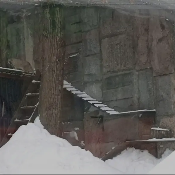 A photograph of Timofey in Moscow zoo