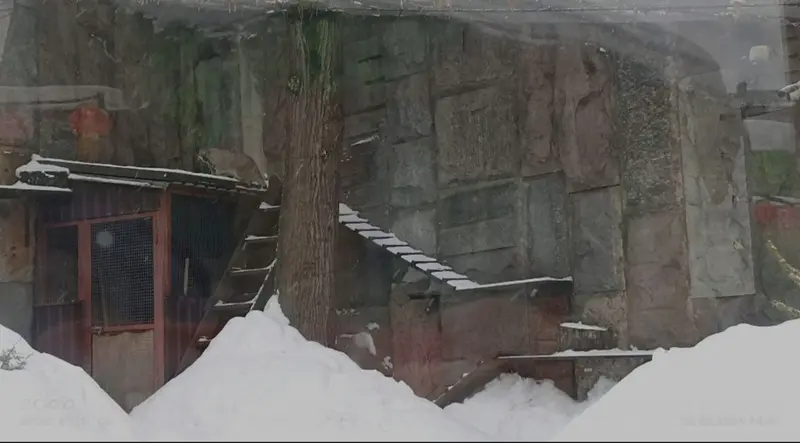 A photograph of Timofey in Moscow zoo