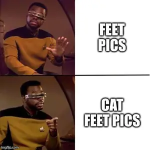 A photograph of a Pallas's cat