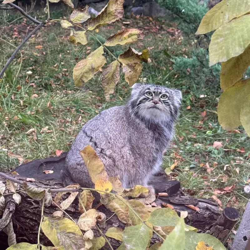 A photograph of Timofey in Moscow zoo