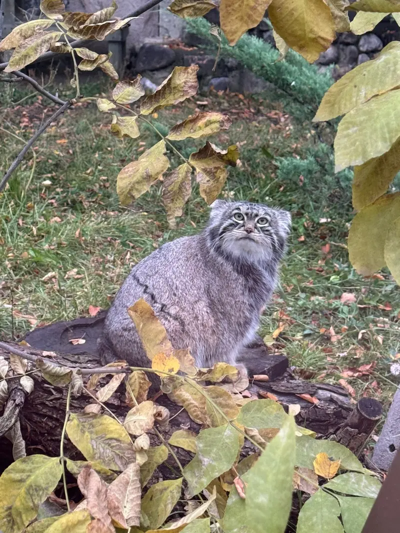 A photograph of Timofey in Moscow zoo