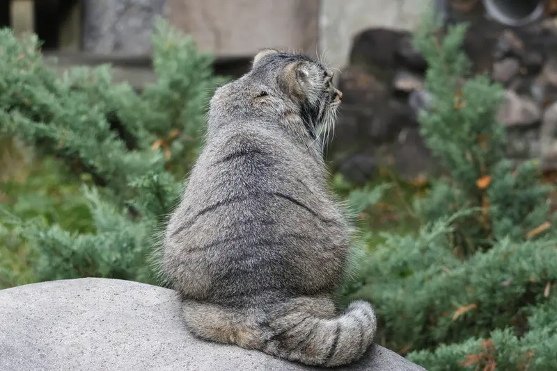 A photograph of Timofey in Moscow zoo