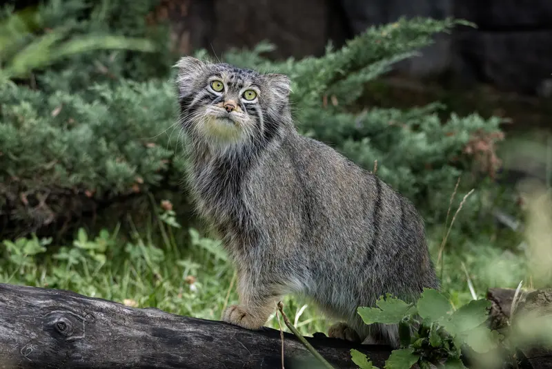 A photograph of Timofey in Moscow zoo
