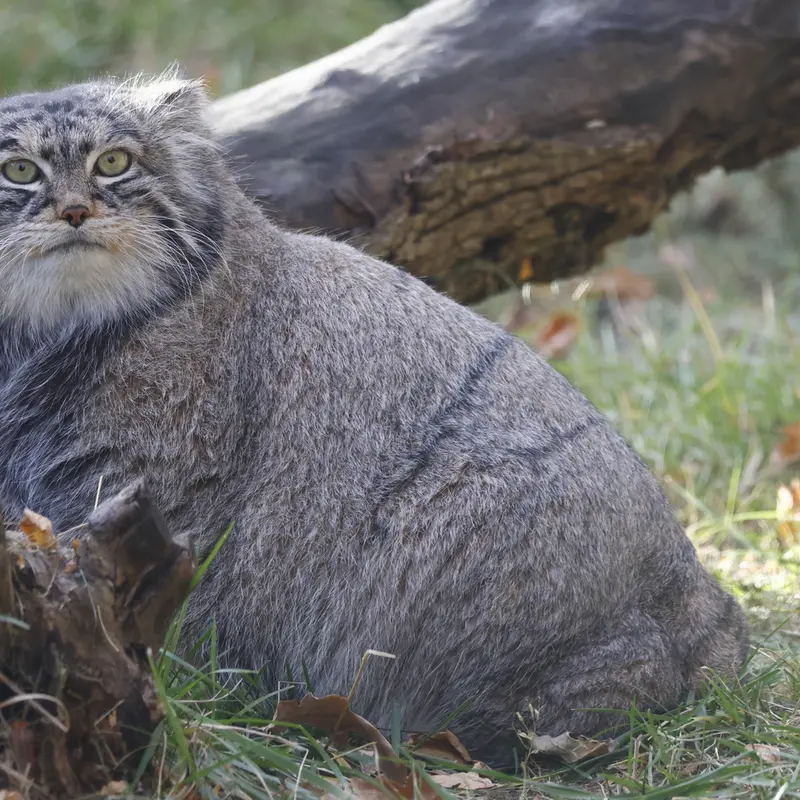 A photograph of Timofey in Moscow zoo