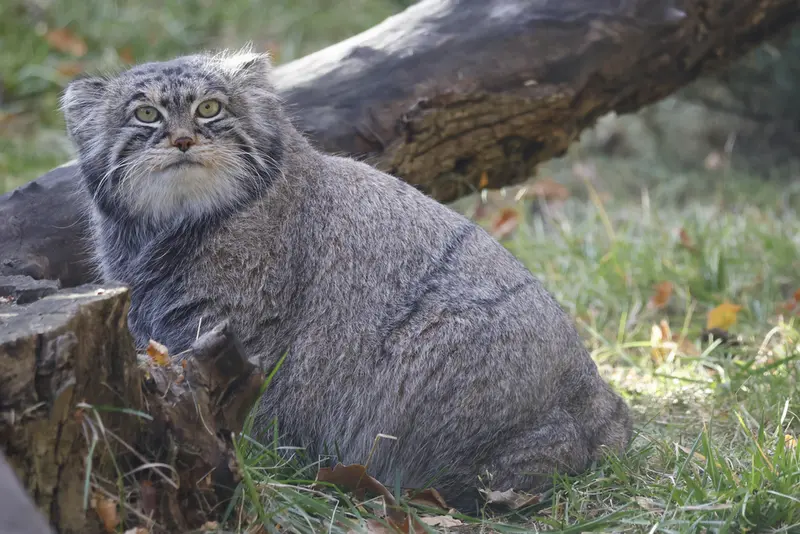 A photograph of Timofey in Moscow zoo