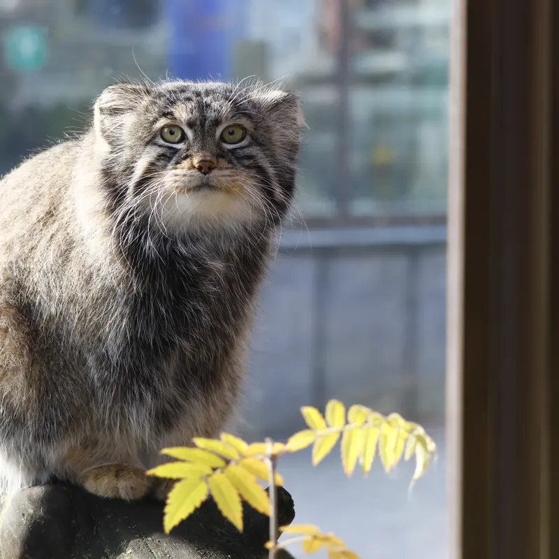 A photograph of Timofey in Moscow zoo