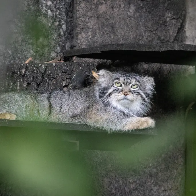 A photograph of Timofey in Moscow zoo