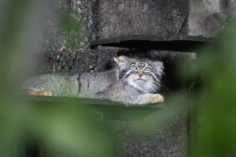 A photograph of Timofey in Moscow zoo