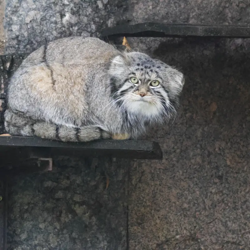 A photograph of Timofey in Moscow zoo