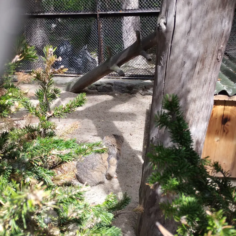 A photograph of Zelenogorsk in Novosibirsk Zoo