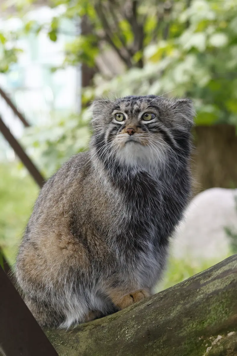 A photograph of Timofey in Moscow zoo