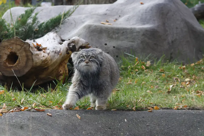 A photograph of Timofey in Moscow zoo