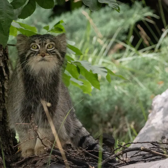 A photograph of Timofey in Moscow zoo