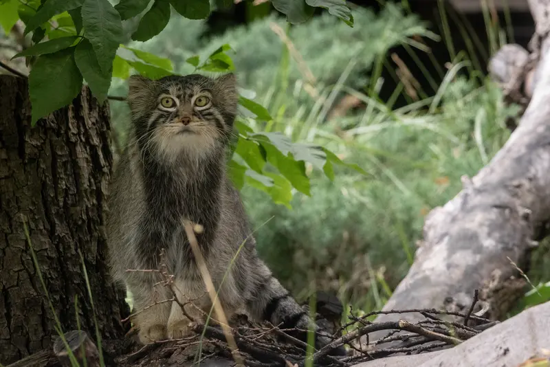 A photograph of Timofey in Moscow zoo