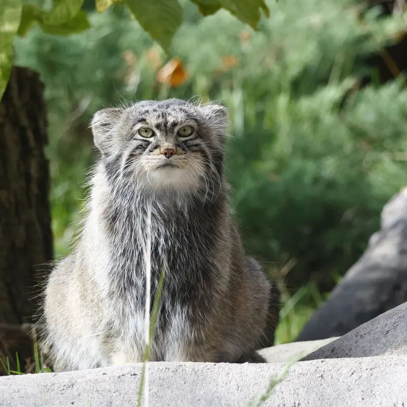 A photograph of Timofey in Moscow zoo