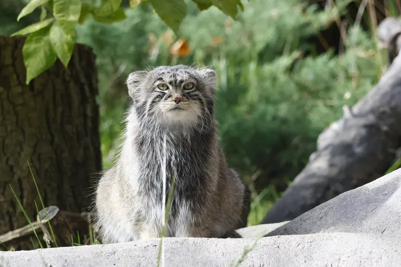 A photograph of Timofey in Moscow zoo