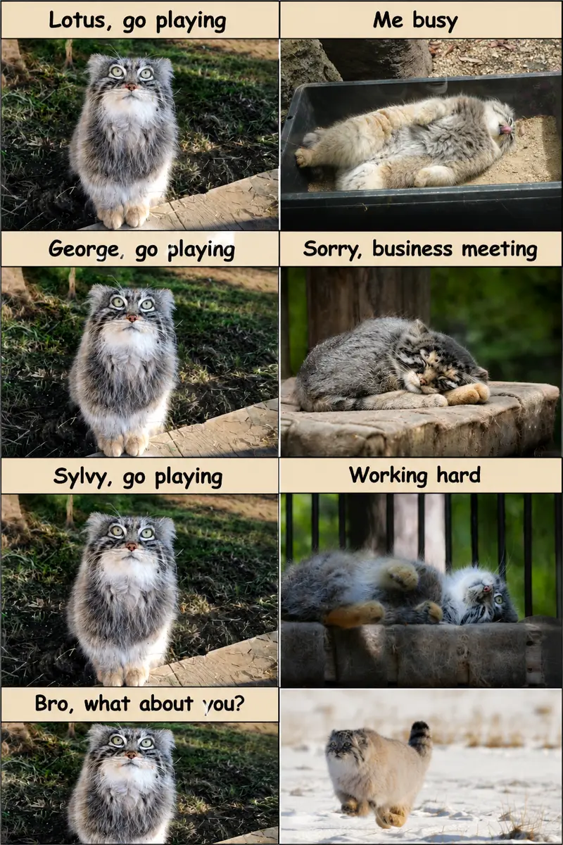 Play with me