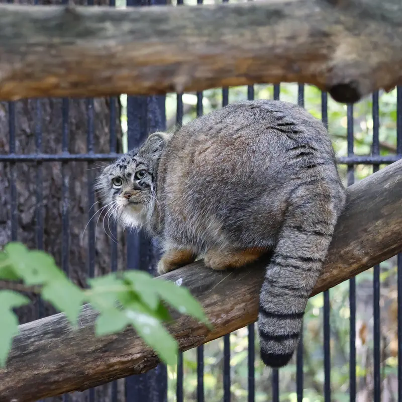 A photograph of Anya in Novosibirsk Zoo