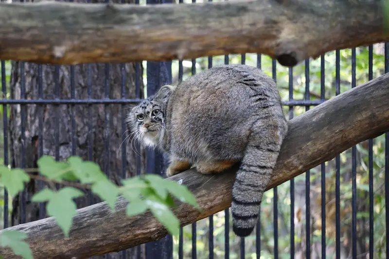 A photograph of Anya in Novosibirsk Zoo