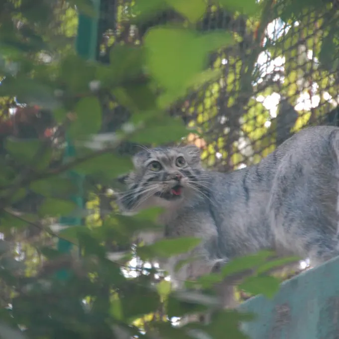 A photograph of Lucy in Budapest Zoo & Botanical Garden