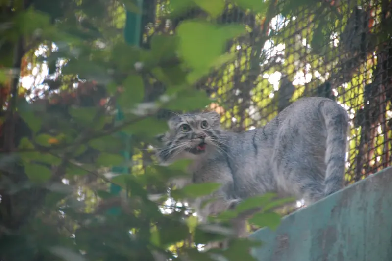 A photograph of Lucy in Budapest Zoo & Botanical Garden