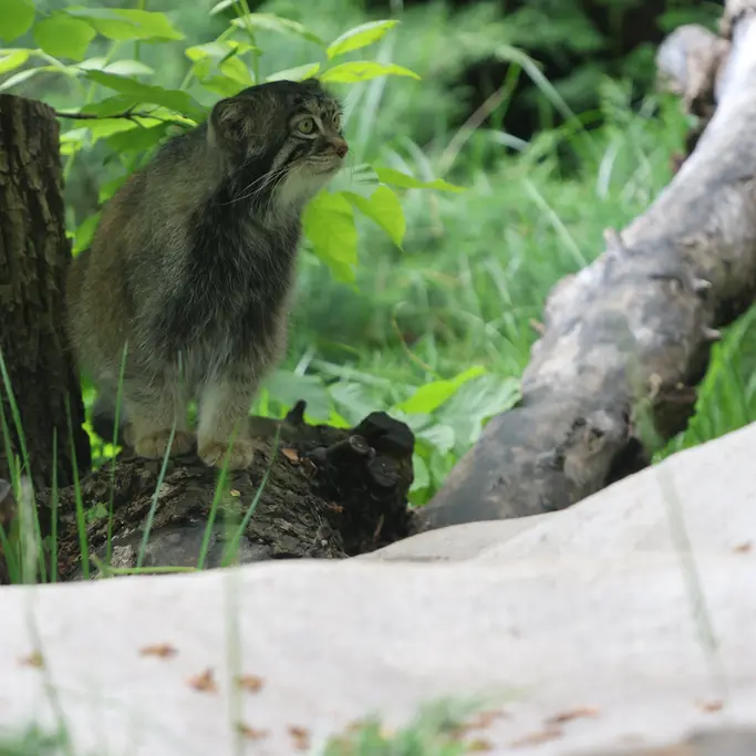 A photograph of Timofey in Moscow zoo