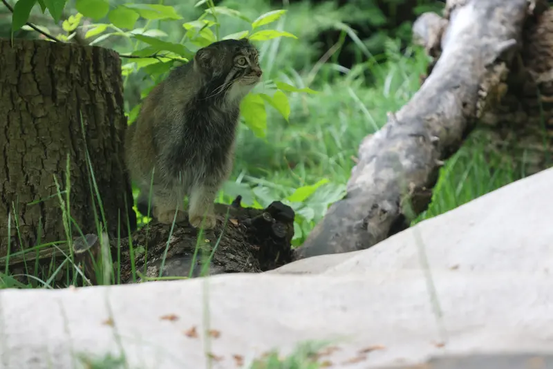 A photograph of Timofey in Moscow zoo