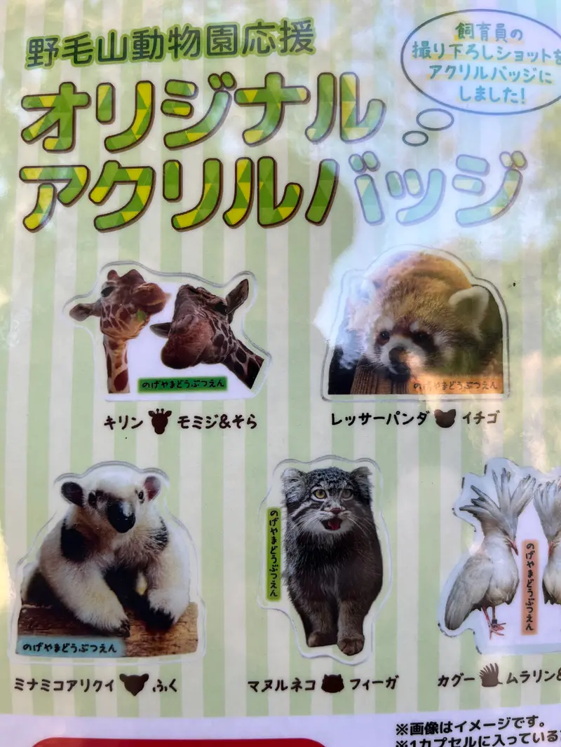 A photograph of Figa in Nogeyama Zoo