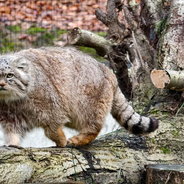 A photograph of Manuel in Gdansk Zoo