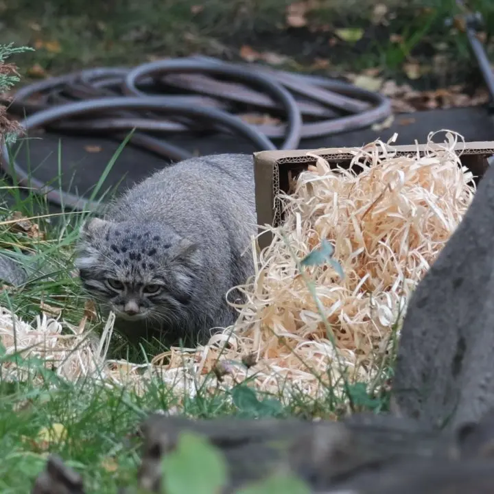 A photograph of Timofey in Moscow zoo