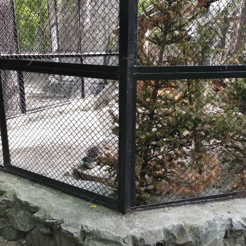 A photograph of Zelenogorsk in Novosibirsk Zoo