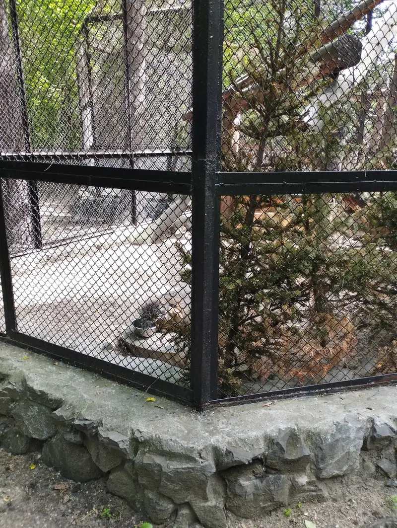 A photograph of Zelenogorsk in Novosibirsk Zoo