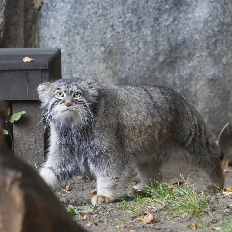 A photograph of Timofey in Moscow zoo