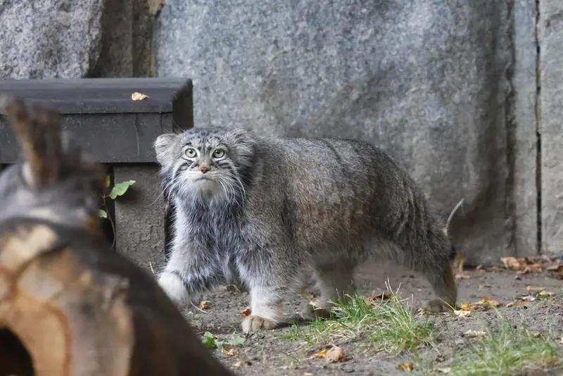 A photograph of Timofey in Moscow zoo