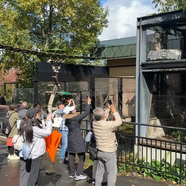 A photograph of Hide in Asahiyama Zoo