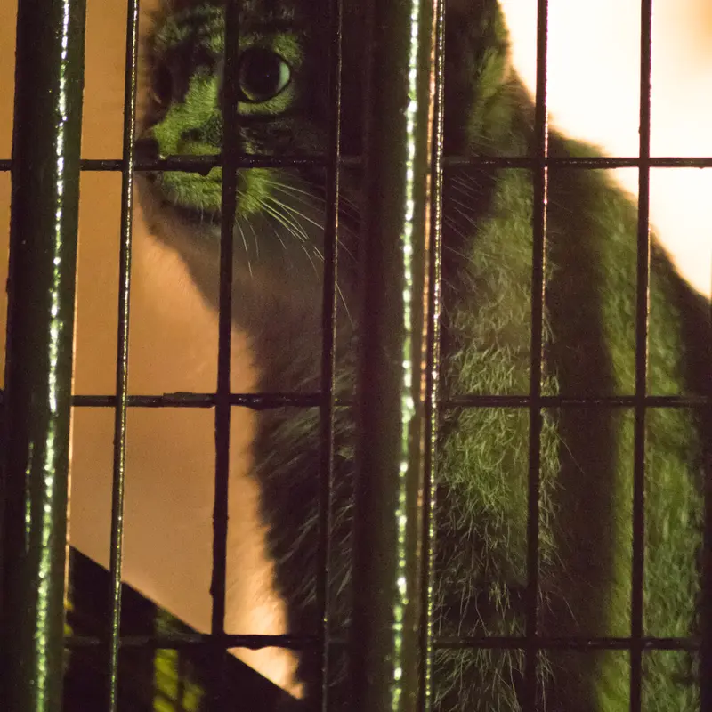 A photograph of Figa in Nogeyama Zoo