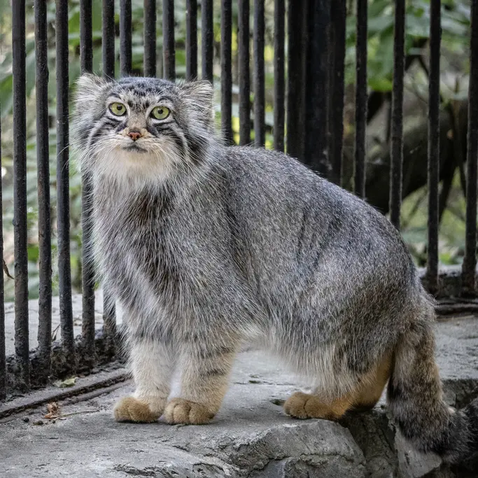 A photograph of Anya in Novosibirsk Zoo