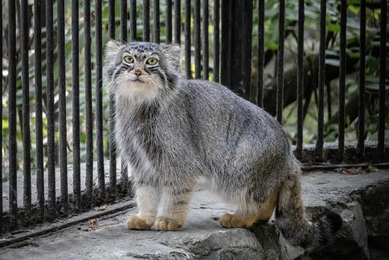 A photograph of Anya in Novosibirsk Zoo