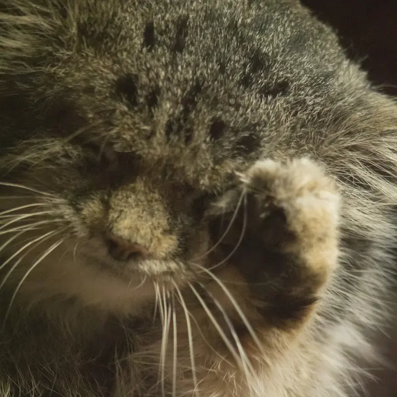 A photograph of Klyon in Ueno Zoological Gardens
