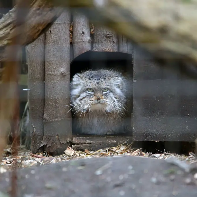 A photograph of Jessie in Warsaw Zoo