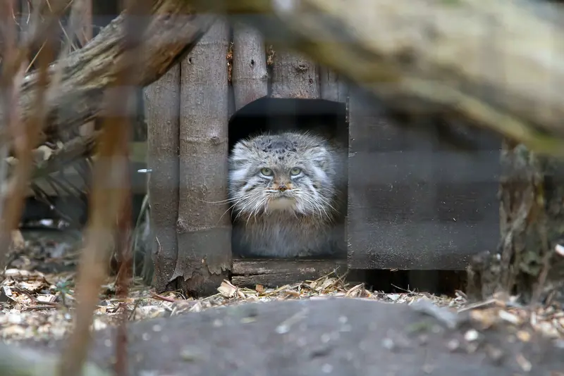 A photograph of Jessie in Warsaw Zoo