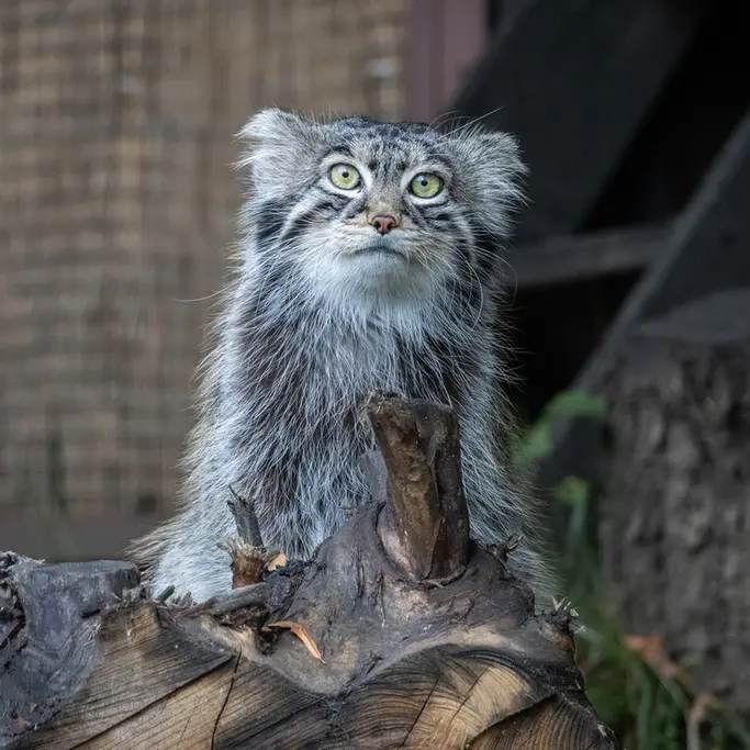 A photograph of Timofey in Moscow zoo