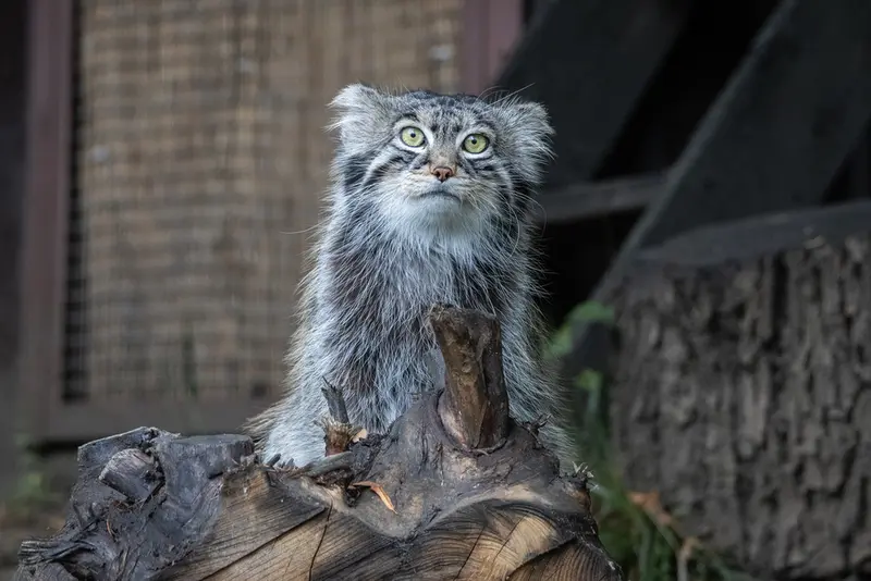 A photograph of Timofey in Moscow zoo