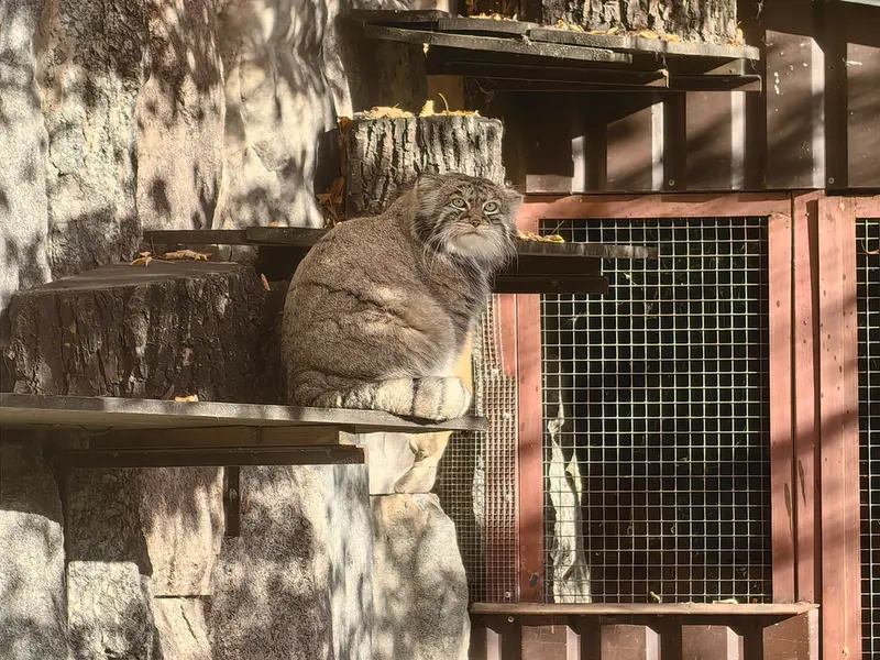 A photograph of Timofey in Moscow zoo