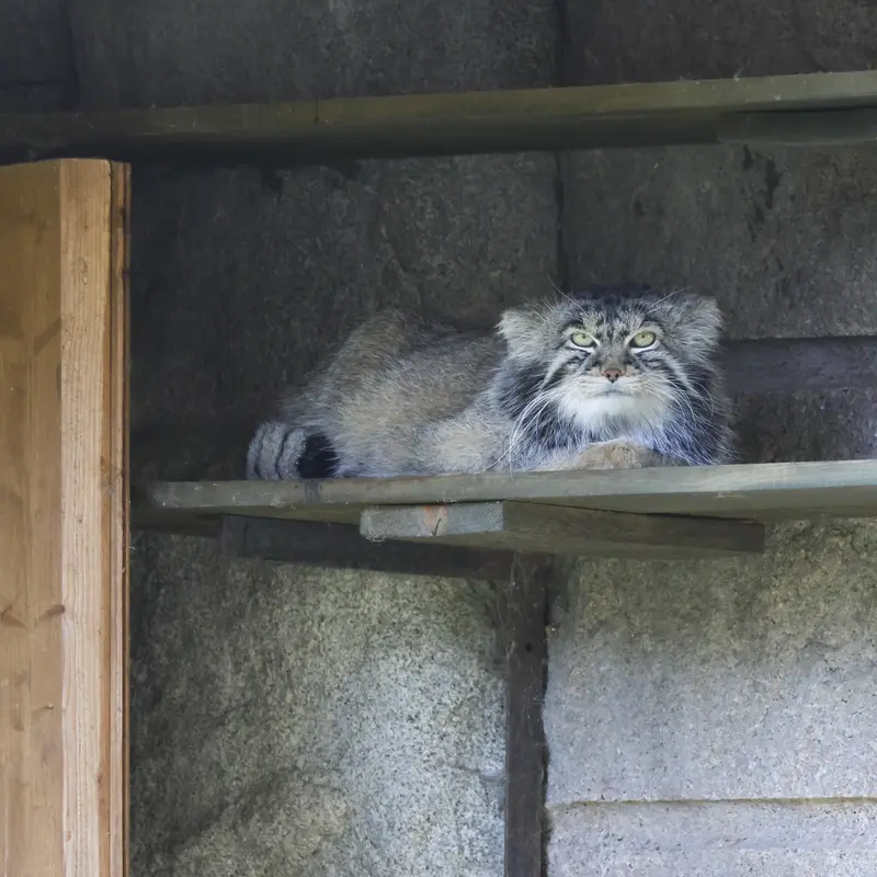 A photograph of Timofey in Moscow zoo